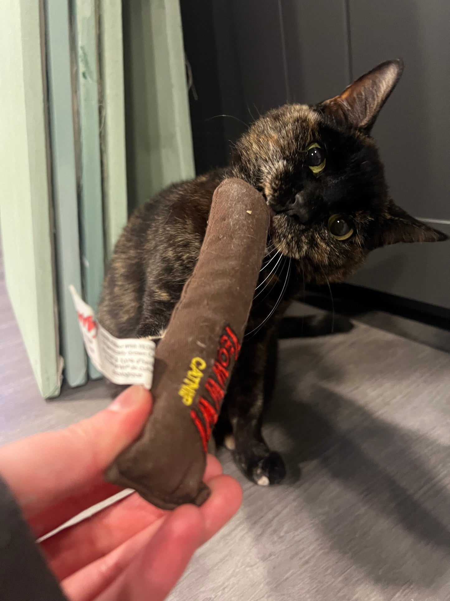 Yeowww! Cigar Catnip Cat Toy