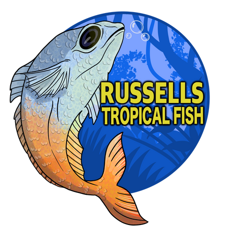 Russells Topical Fish and Pet pet supply store specializing in