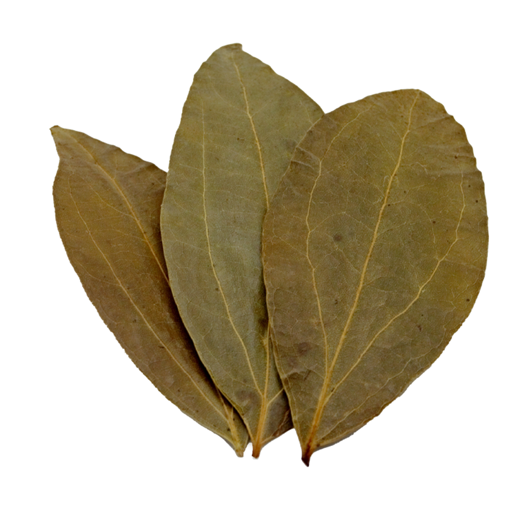 HydrOasis Cinnamon Leaves | 10 ct