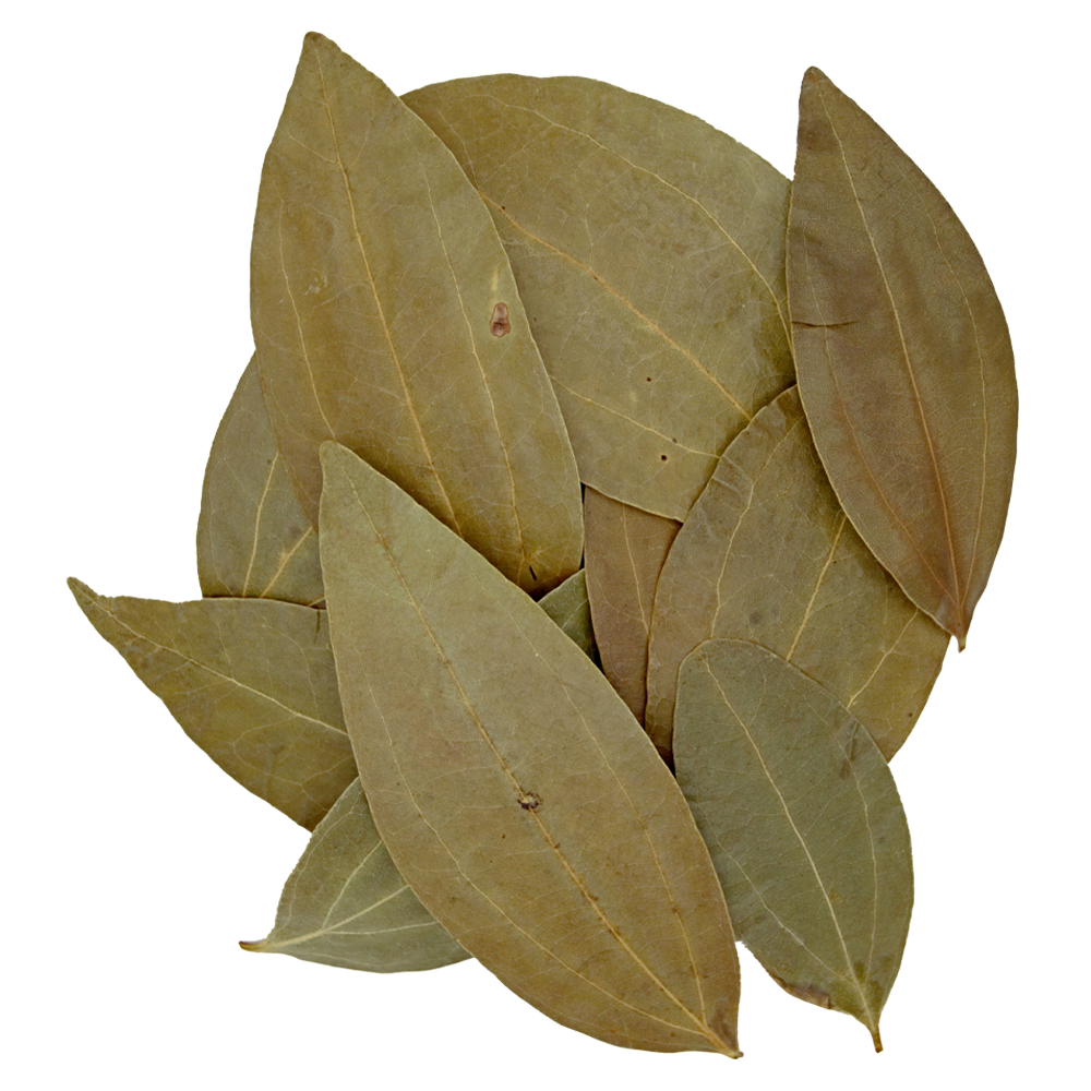 HydrOasis Cinnamon Leaves | 10 ct