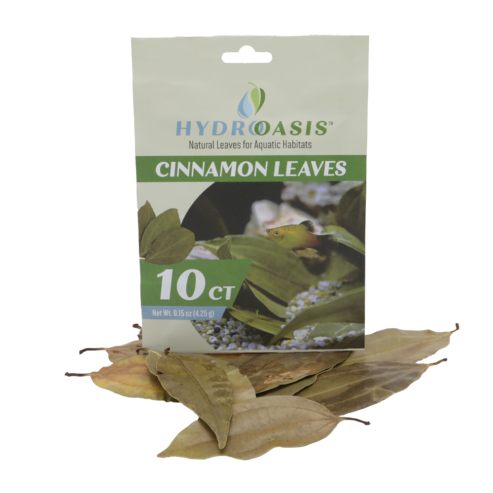 HydrOasis Cinnamon Leaves | 10 ct