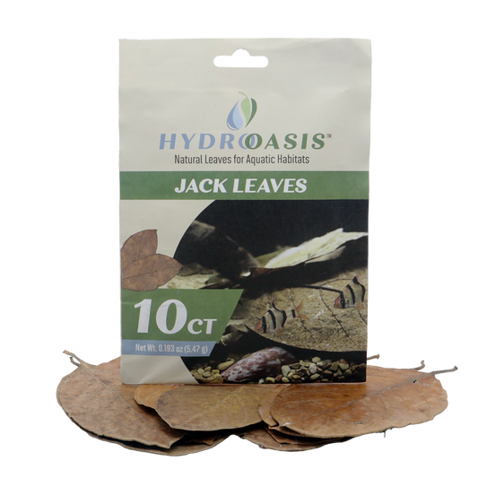 HydrOasis Jack Leaves | 10 ct